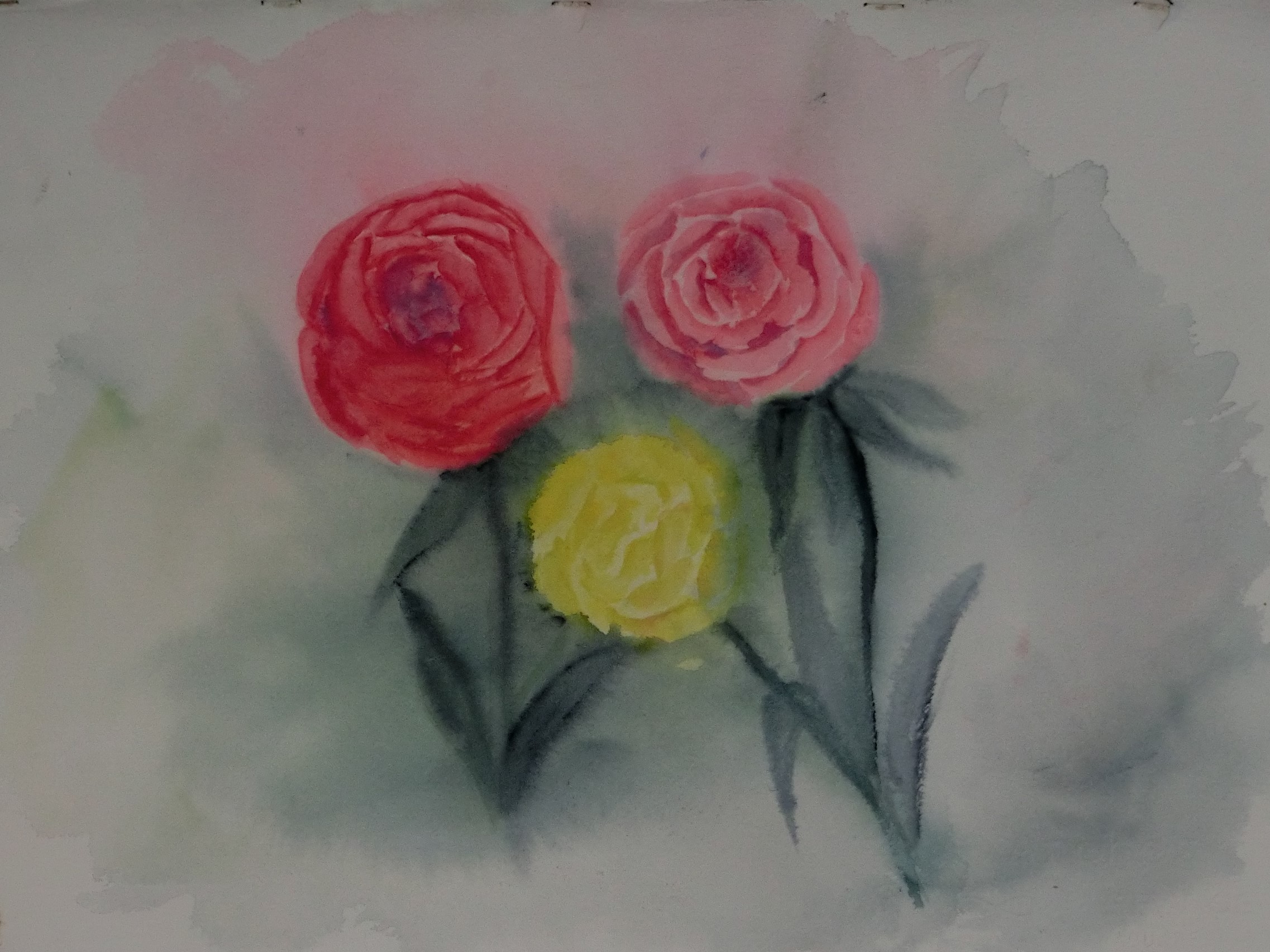 Roses | MM artiste